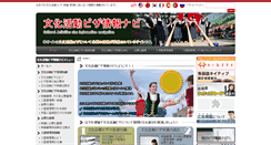 Desktop Screenshot of cult.visainfo.jp